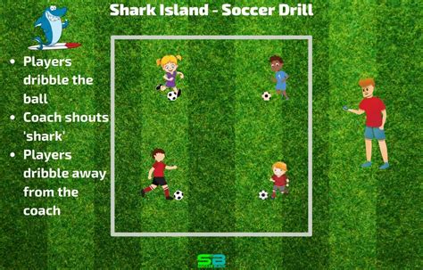 Shark Island Soccer Drill Soccer For 3 4 Year Olds Fun Games Soccer