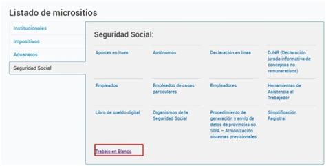 Guía para ver mis aportes previsionales sin Clave Fiscal Mi Anses