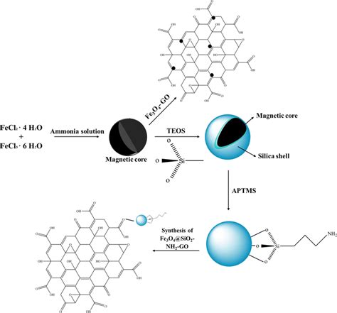 Schematic Of Synthesis Process Of Fe3o4 Go And Fe3o4sio2 Nh2 Go