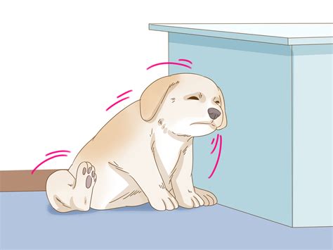 Seasonal Allergies For Dogs Treatment at Christy Calvin blog