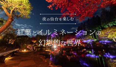 夜の仙台を楽しむ 紅葉とイルミネーションの幻想的な世界 【公式】仙台観光情報サイト せんだい旅日和