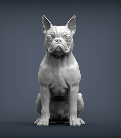 3d File Boston Terrier 3d Print Model 🐕 ・3d Printable Design To Download・cults