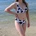 Women S Cow Print Bikini Top Recyled Padded Bikini Top Etsy