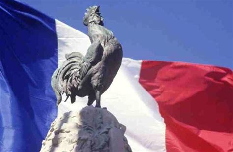 Pourquoi Le Coq Est Devenu Le Symbole De La France Association