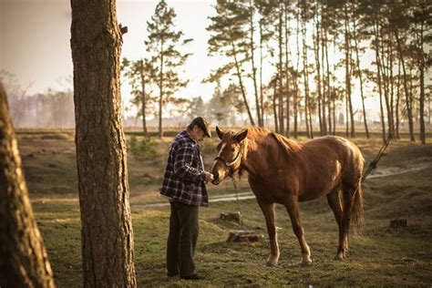 Деревенские виды - Zefirka