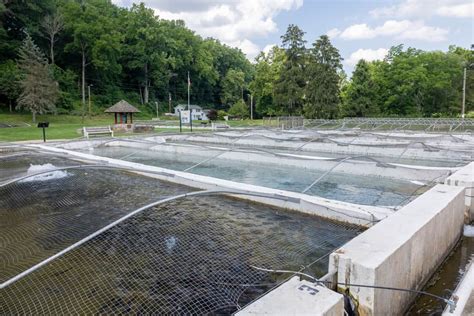 Visiting The Lil Le Hi Trout Nursery In Allentown Uncovering Pa