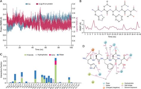 Post Molecular Dynamics MD Simulation Analysis Of HLFNT Mpro A The