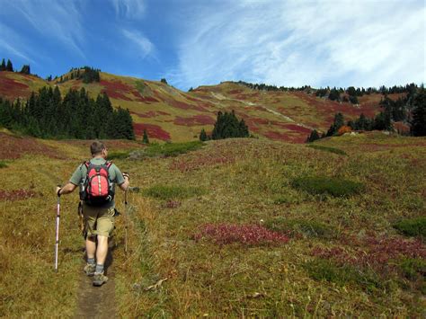 Green Mountain — Washington Trails Association