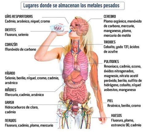 Sint Tico Foto Que Materiales Son Rechazados Por El Cuerpo Mirada Tensa