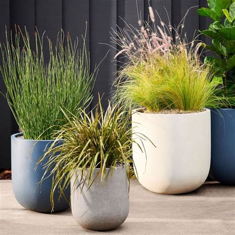 Three Planters With Grass And Plants In Them