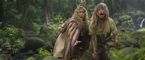 snatched  review film summary  roger ebert