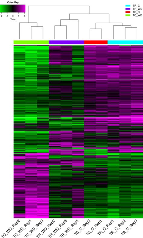 Differentially Expressed Genes From All Pairwise Comparisons For T