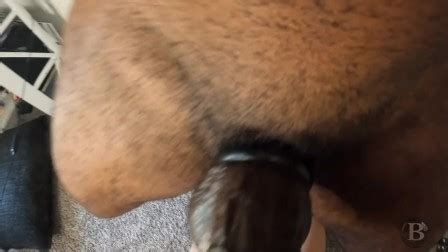 Loadster Newest Porn Videos Redtube