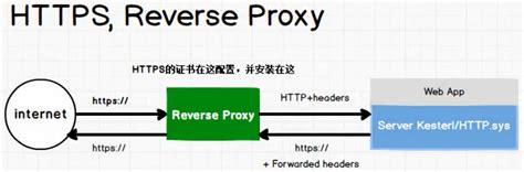 Asp Net Core Mvc X Mvc Ubuntu Nginx Https