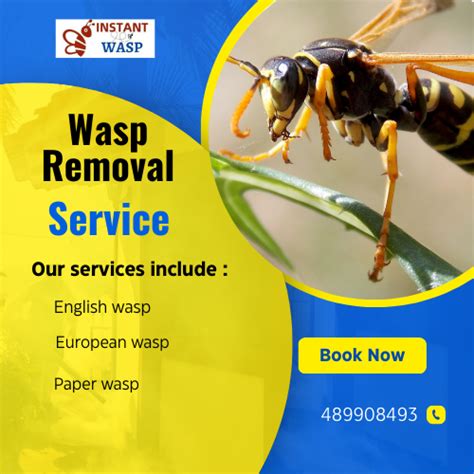 Cherokee’s Wasp Removal Swift Solutions for Safe Homes | by Instant Wasp Removal | May, 2024 ...