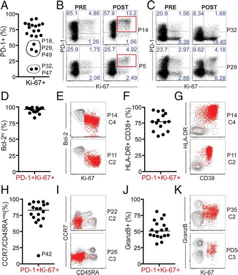 Proliferation Of PD 1 CD8 T Cells In Peripheral Blood After PD 1