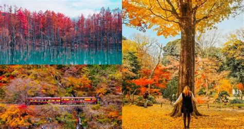 Best Places To See Autumn Leaves In Japan Japans Official