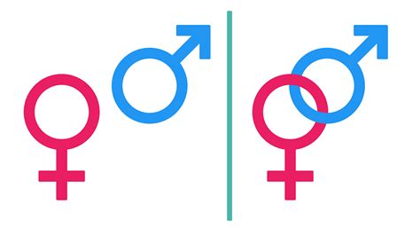 gender symbol male  vector graphic  pixabay