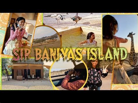 SIR BANIYAS ISLAND ANKISADVENTURE IN SIRBANIYAS AL SAHEL VILLA RESORT