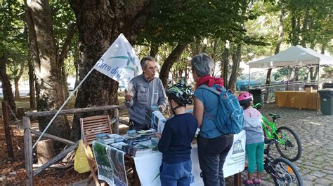 La Domenica Favoritaun Ricco Palinsesto Domenica Ottobre A