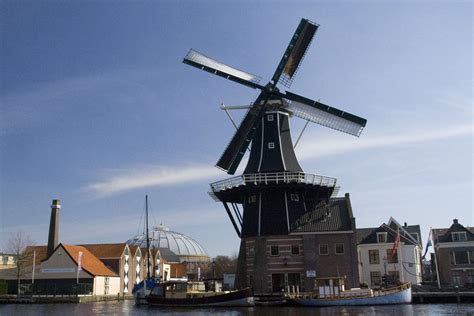 Qué ver y hacer en Haarlem Países Bajos Bookineo