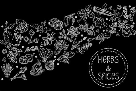 Herbs And Spices Hand Drawn Sketch Style Elements Hand Drawn Food