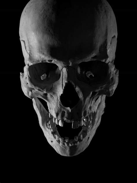 Human Skull Photography