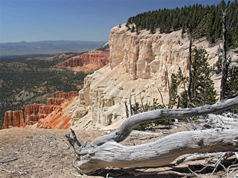 Powell Point Trail, Boulder Mountain, Utah