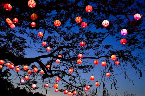 🔥 [50+] Chinese Lantern Wallpapers | WallpaperSafari