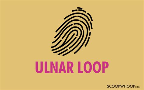 Ulnar Loop - Life Coach Code