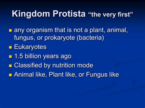 Protists Intro