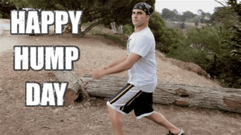 hump day | Tag | PrimoGIF