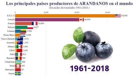 Los principales países productores de ARÁNDANO en el MUNDO YouTube