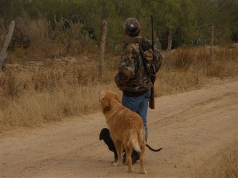 hunting deer whit dogs, Laredo, Tx | Hunting