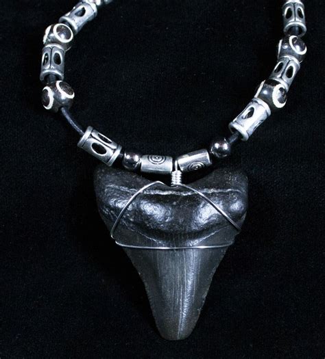 Inch Megalodon Tooth Necklace For Sale Fossilera