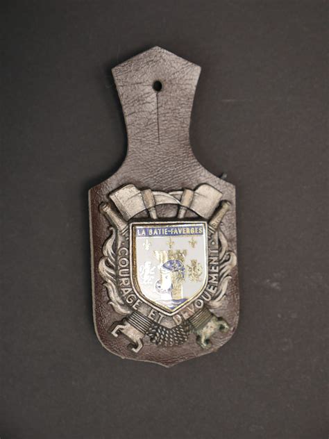 Lot D Insignes De Sapeurs Pompiers De Rhone Alpes Et Secours En