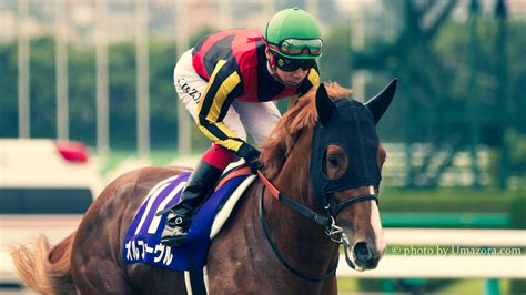 【競馬壁紙】オルフェーヴル｜パソコンpc・スマホiphonexsxr対応 【馬空 Umazora 】競馬写真・オリジナル競馬壁紙