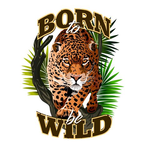 Free Image Of Jaguar In The Jungle Fierce Staring Leopard Born Wild Illustration Of Many