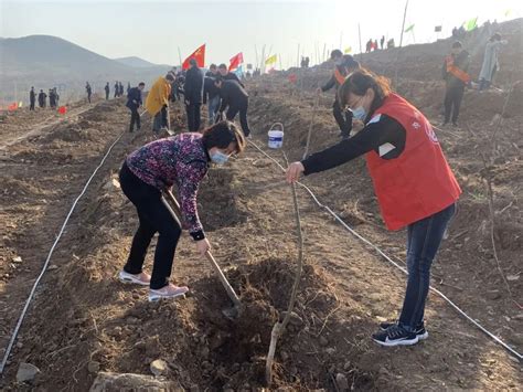 春来添新绿 巾帼植树忙 县妇联开展春季义务植树活动澎湃号·政务澎湃新闻 The Paper