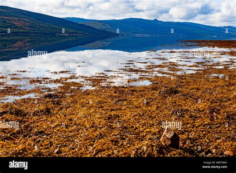 Loch Fyne Argyll And Bute Western Scotland Inveraray With Mountains