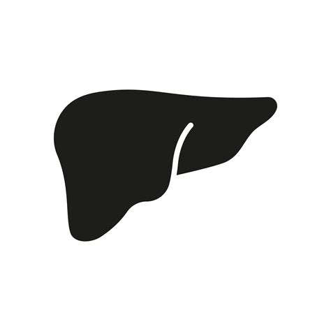 Human Liver Silhouette Icon Hepatology Healthcare Digestive Treatment