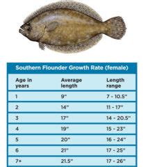 Texas Flounder Regulations Proving Successful - Gulf Coast Mariner Magazine