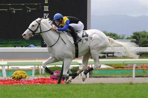 【函館新馬戦】白毛馬ソダシ 白星デビュー新馬芝では初の快挙「人気が出そうだね」 スポニチ Sponichi Annex ギャンブル