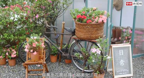 今年必賞花展「萬金杜鵑」跨界聯手碰出新火「花」 生活 中時新聞網