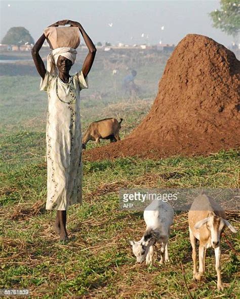 Nuer People Photos and Premium High Res Pictures - Getty Images