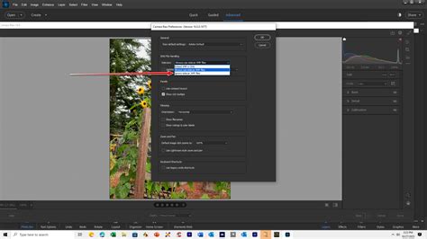 Adobe Camera Raw 160 And Pse 2024 Adobe Community 14179178