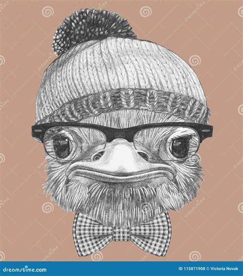 Portrait of Hipster Ostrich. Portrait of Ostrich with Sunglasses and ...