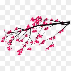 Cherry Blossom Branch Png Transparent Png Vhv