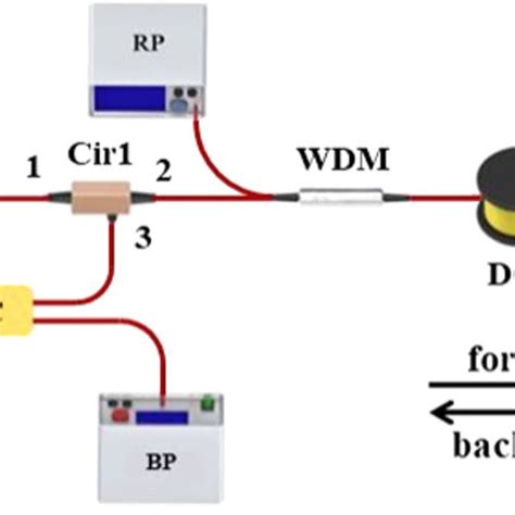 Structure Diagram Of Tunable Brillouin Raman Multi Wavelength Fiber