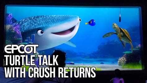 Turtle Talk With Crush Returns At Epcot Youtube